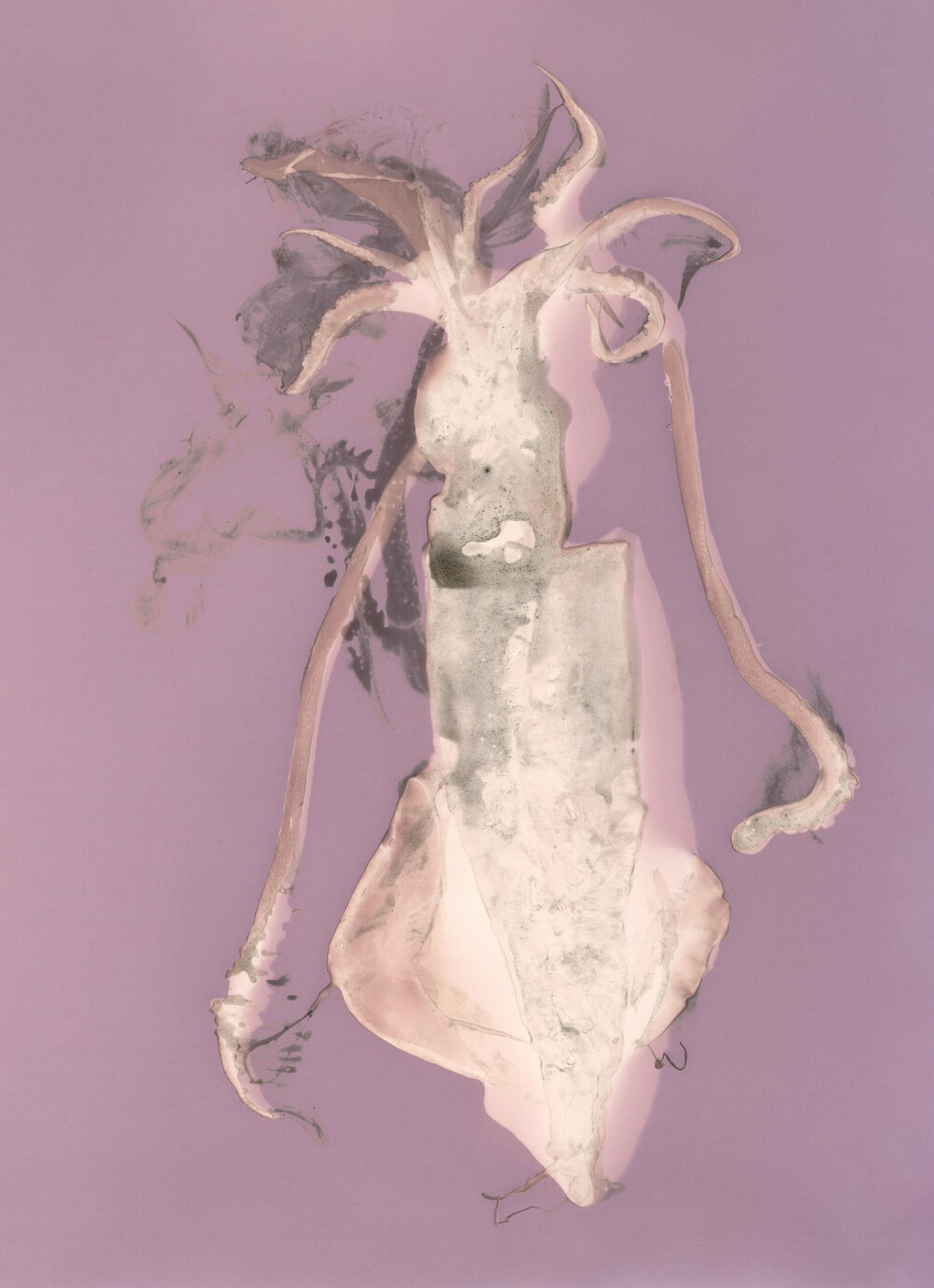 AMé_Einladungsmotiv_Calamares_latent